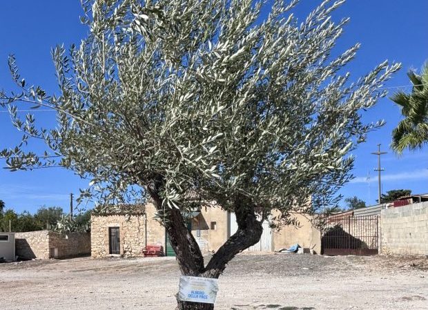 «Sperare e agire? Sì, insieme»